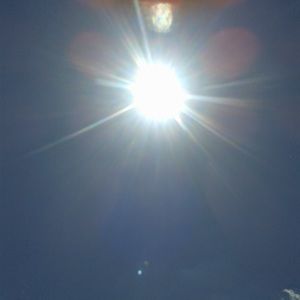 Meet your Posher, Ray